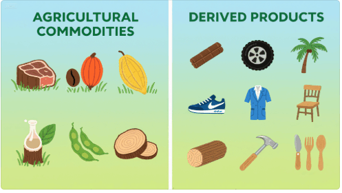 Products Covered by EUDR