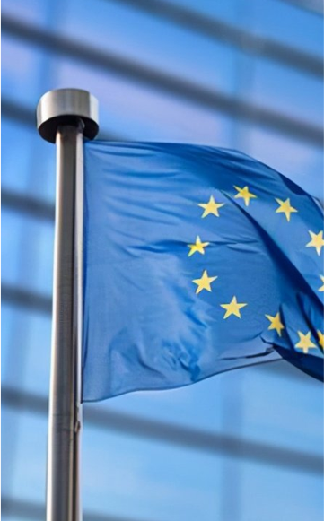 EUDR尽职调查声明提交