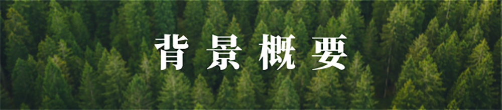镇江低碳云平台背景概要