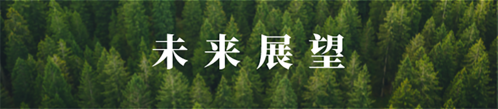 镇江低碳云平台未来展望