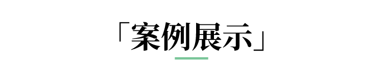 案例展示