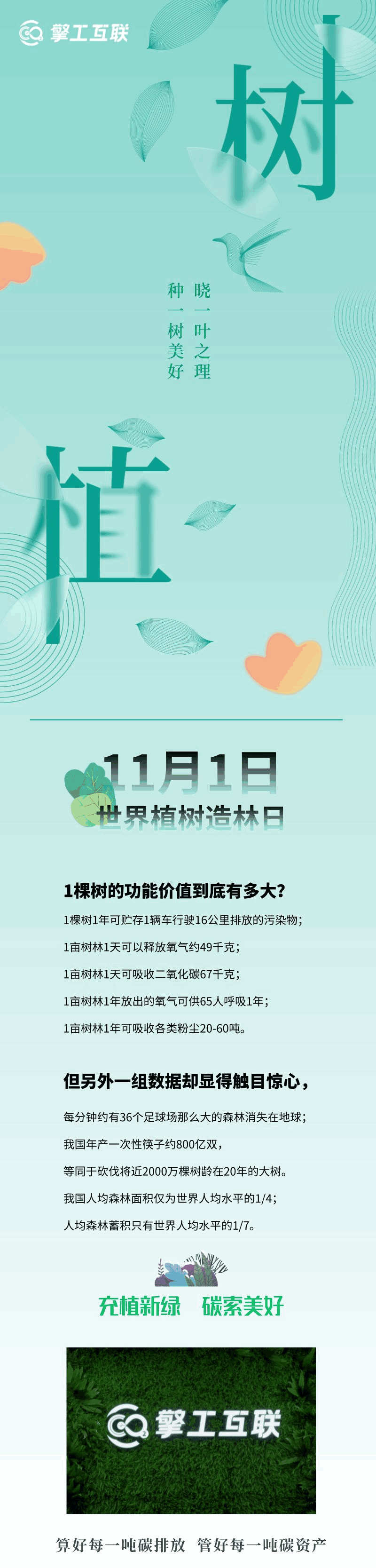 11月1日世界植树造林日