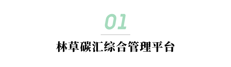 林草碳汇综合管理平台