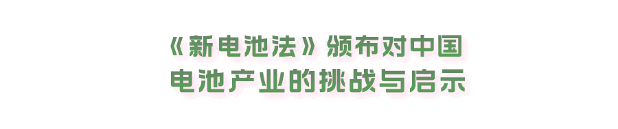 《新电池法》颁布对中国电池产业的挑战与启示