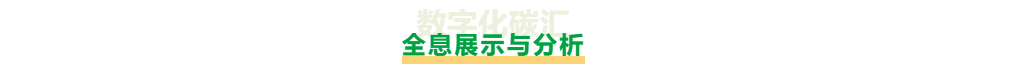 碳汇全息展示与分析