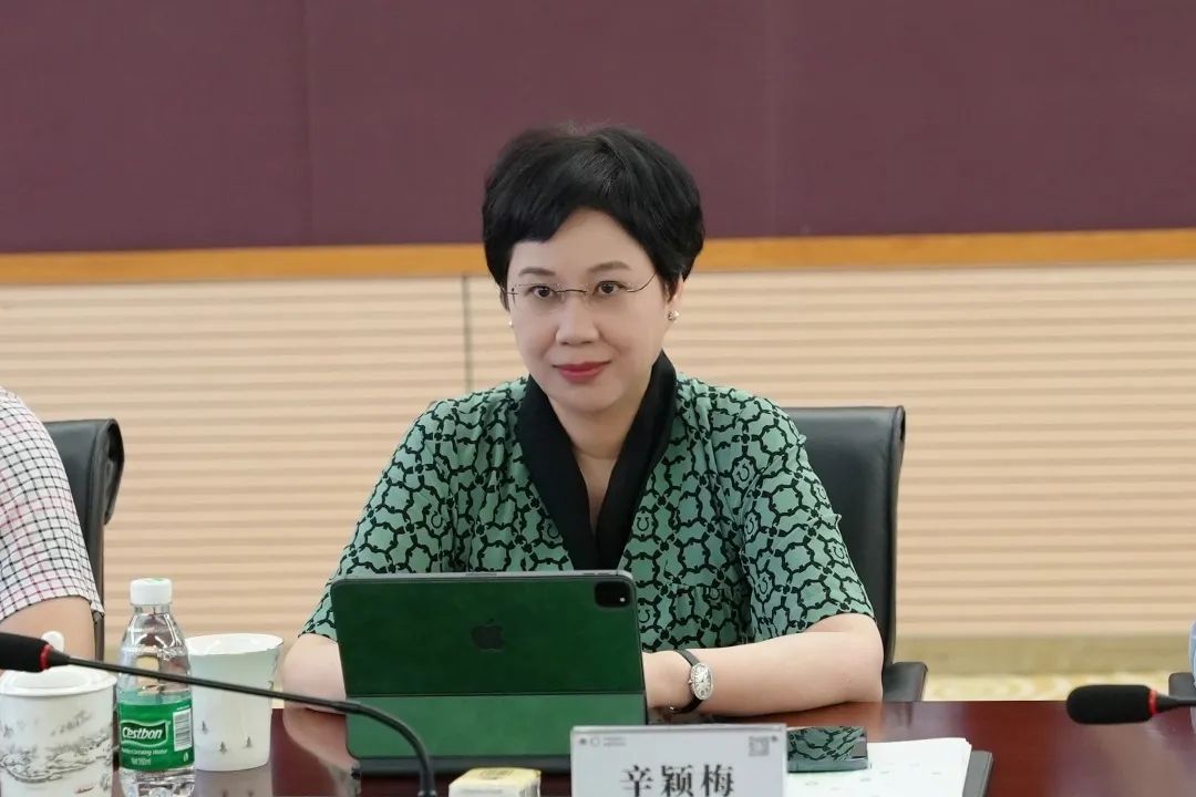 中国擎天软件科技集团董事长辛颖梅