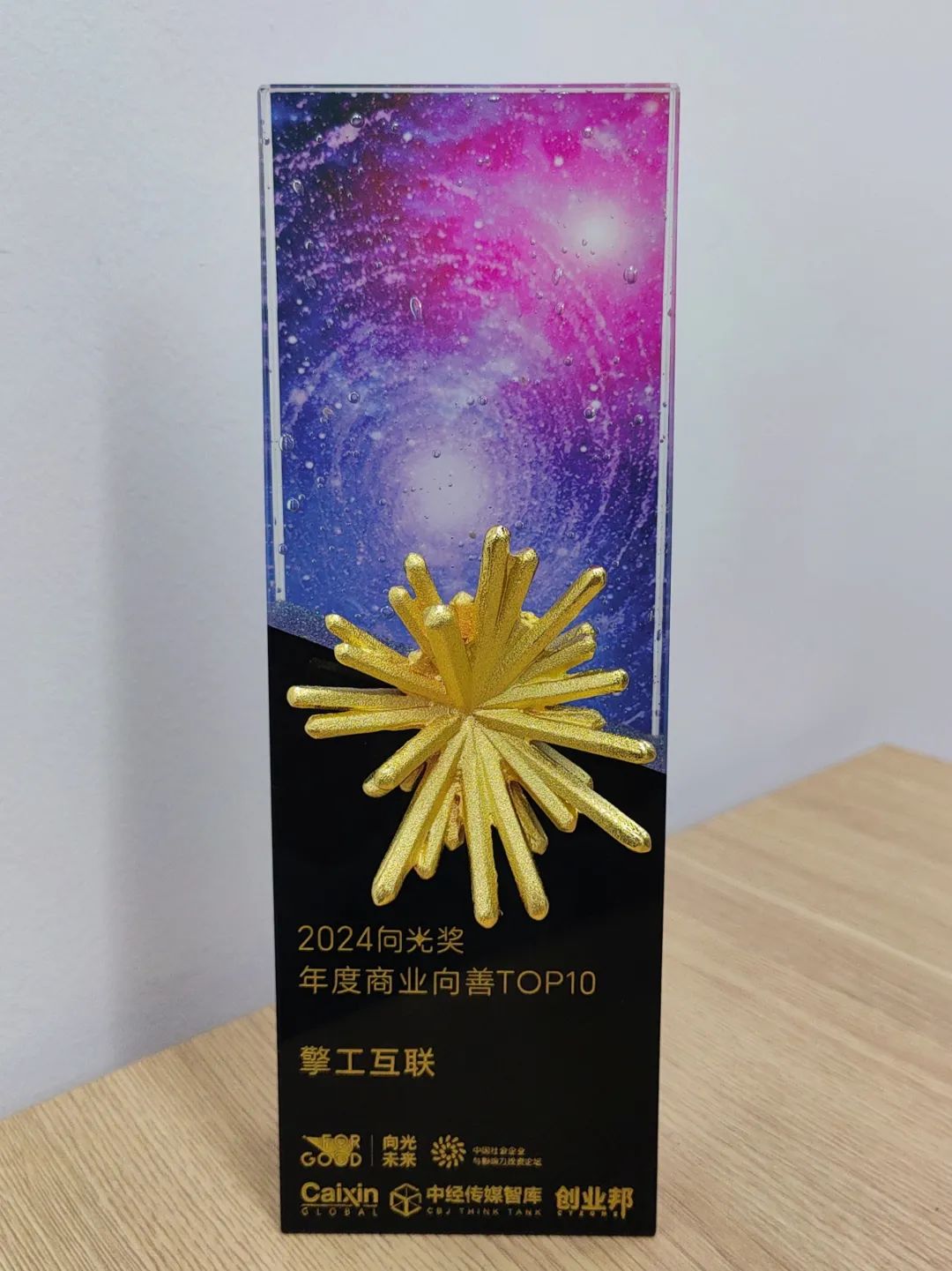2024向光奖年度商业向善TOP10企业