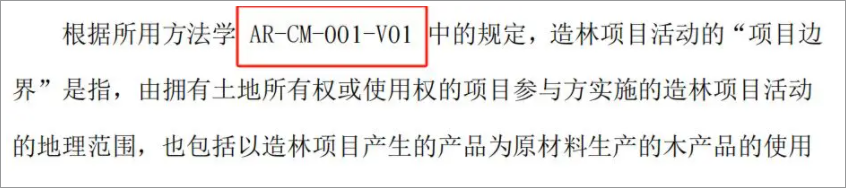 CCER项目PDD错误