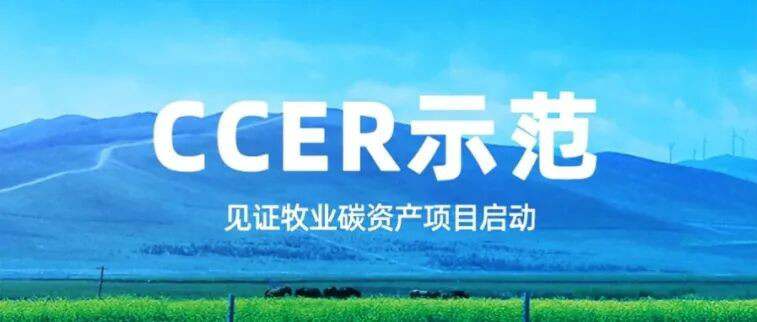 CCER数据监管.jpg